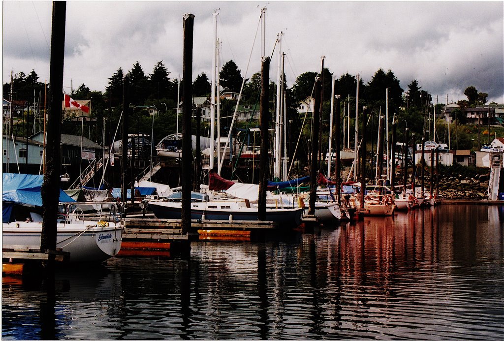 newcastle marina