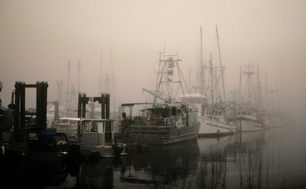 Boxing Day 2009 Nanaimo Harbour