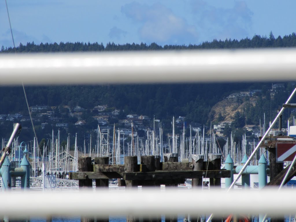 My MAST-erful shot!