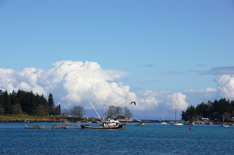 Nanaimo Harbour