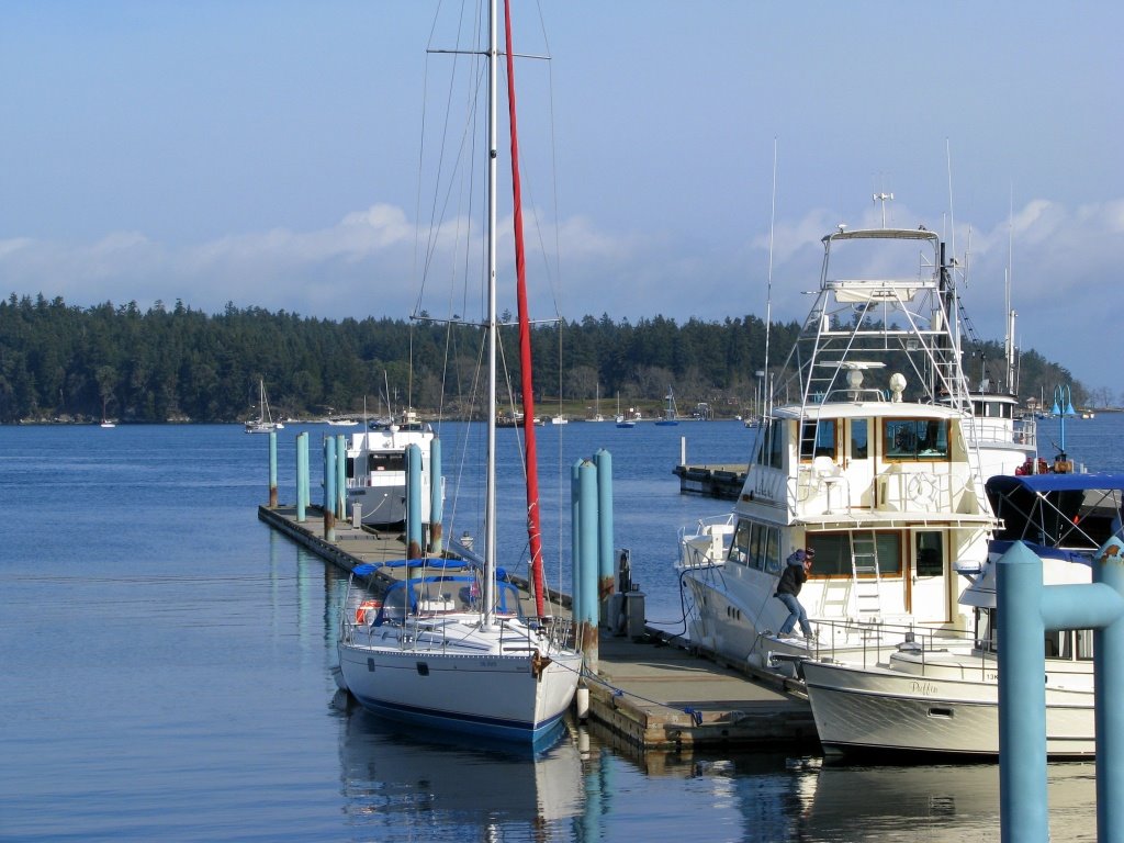 "S" Dock and Newcastle Island