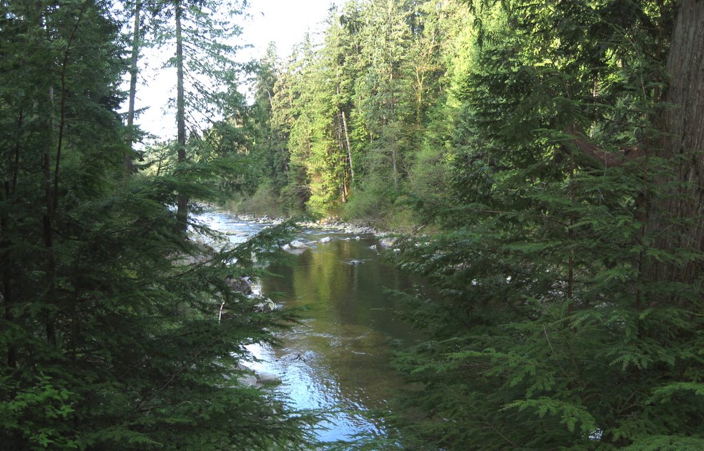 Pool 99, Seymour River 01