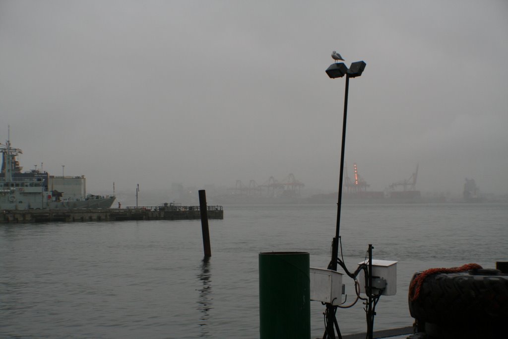 Lonsdale Quay