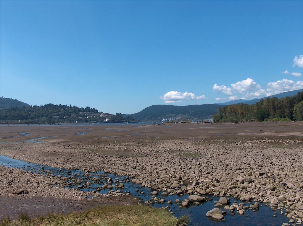 Beach at Shoreline Park