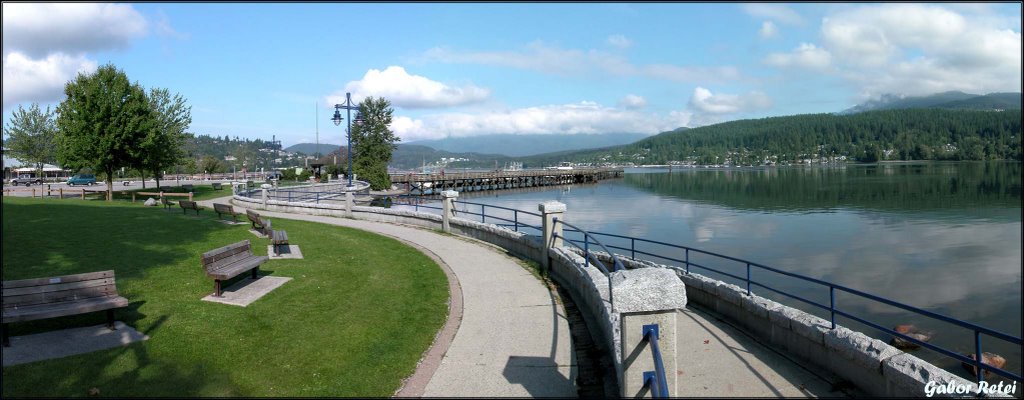 Curves and Straight Lines in Port Moody