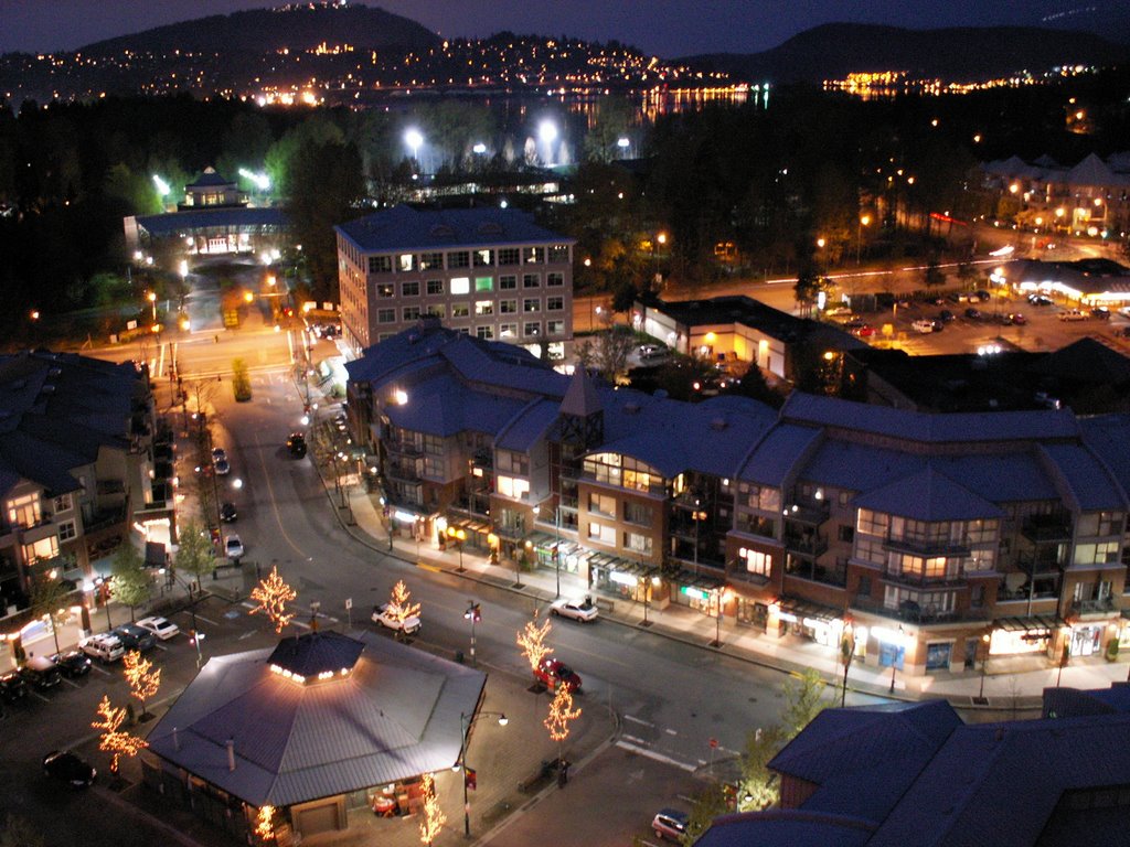 Newport Village