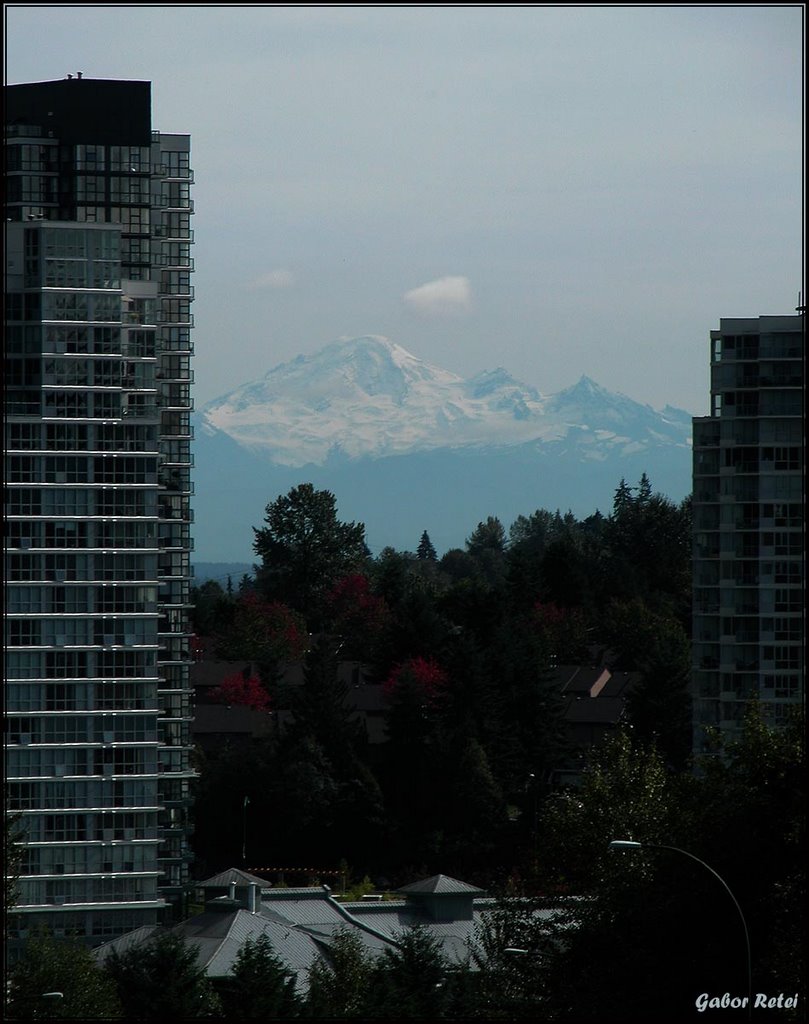 Condo Living in Port Moody