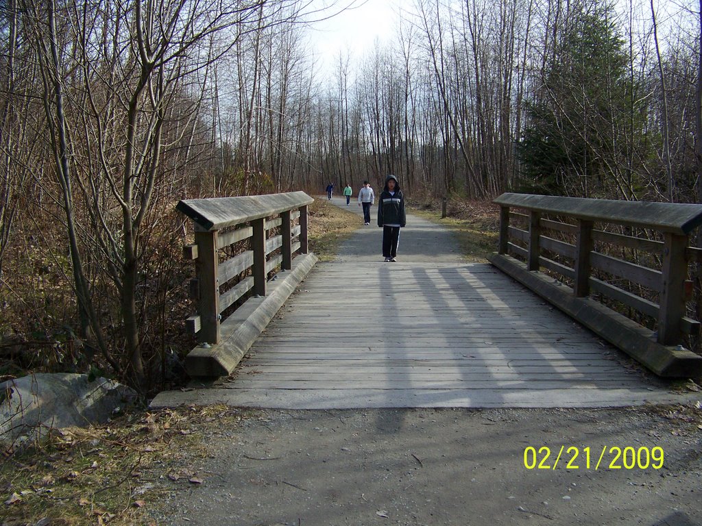 Shoreline Trail