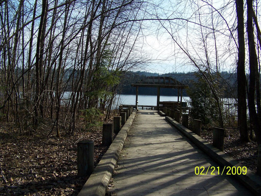 Viewpoint Boardwalk