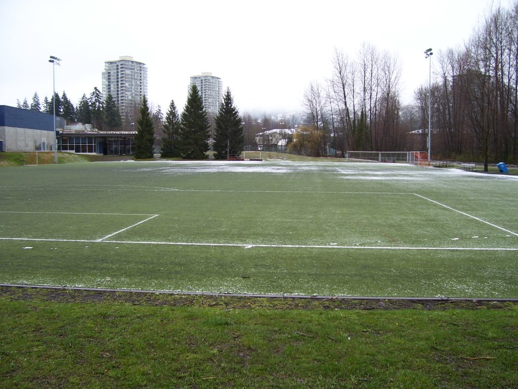 Artificial turf soccer field