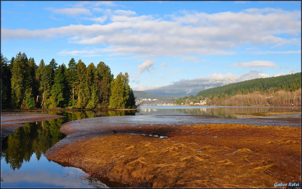 On a very cold morning in Port Moody