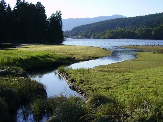 Inlet Trail