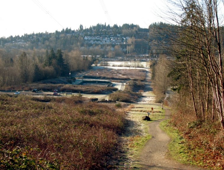 Coquitlam Crunch at Landsdowne Drive looking south