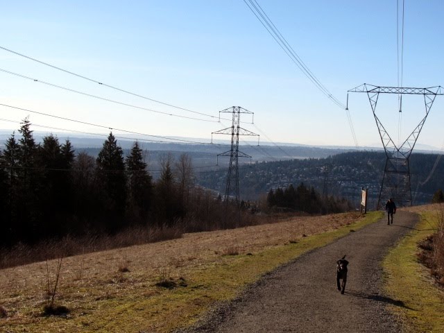 Looking South from Eagle Ridge trail at Eagle Mountain Drive