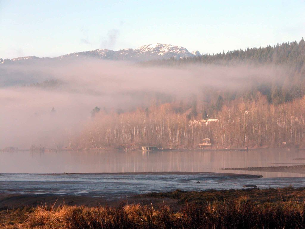 Port Moody in  Fog