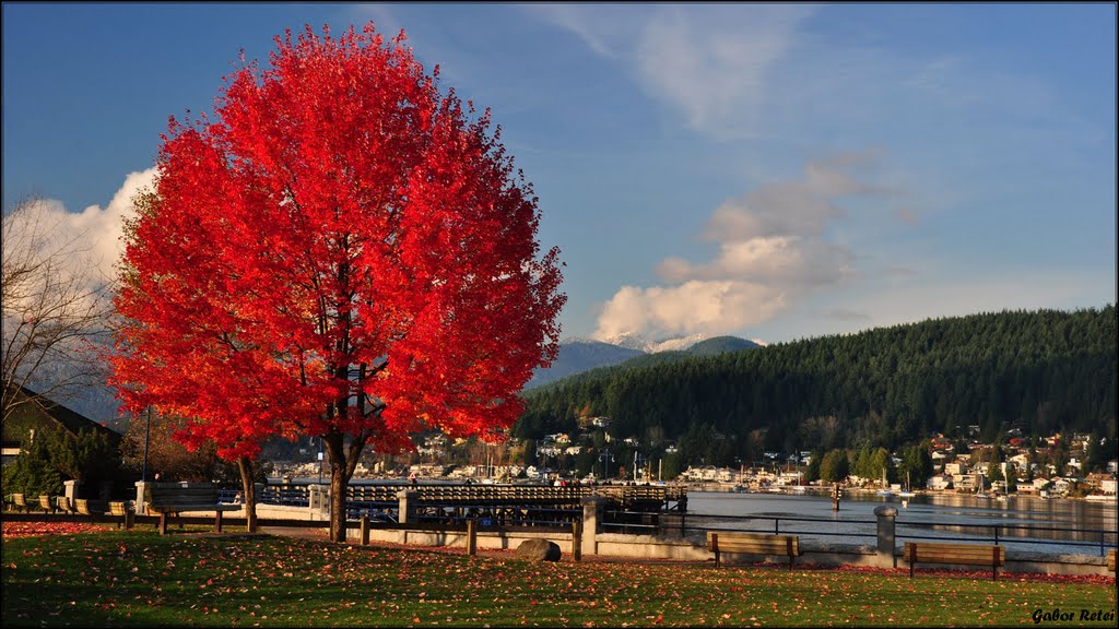 Fall at Rocky Point Park