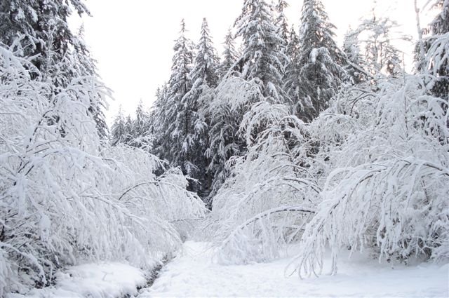 December snow