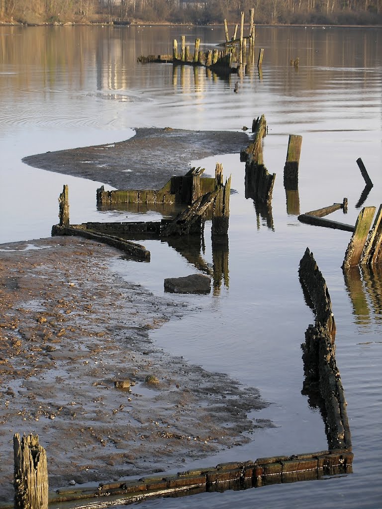 Port Moody Foreshore near Old Orchard Park