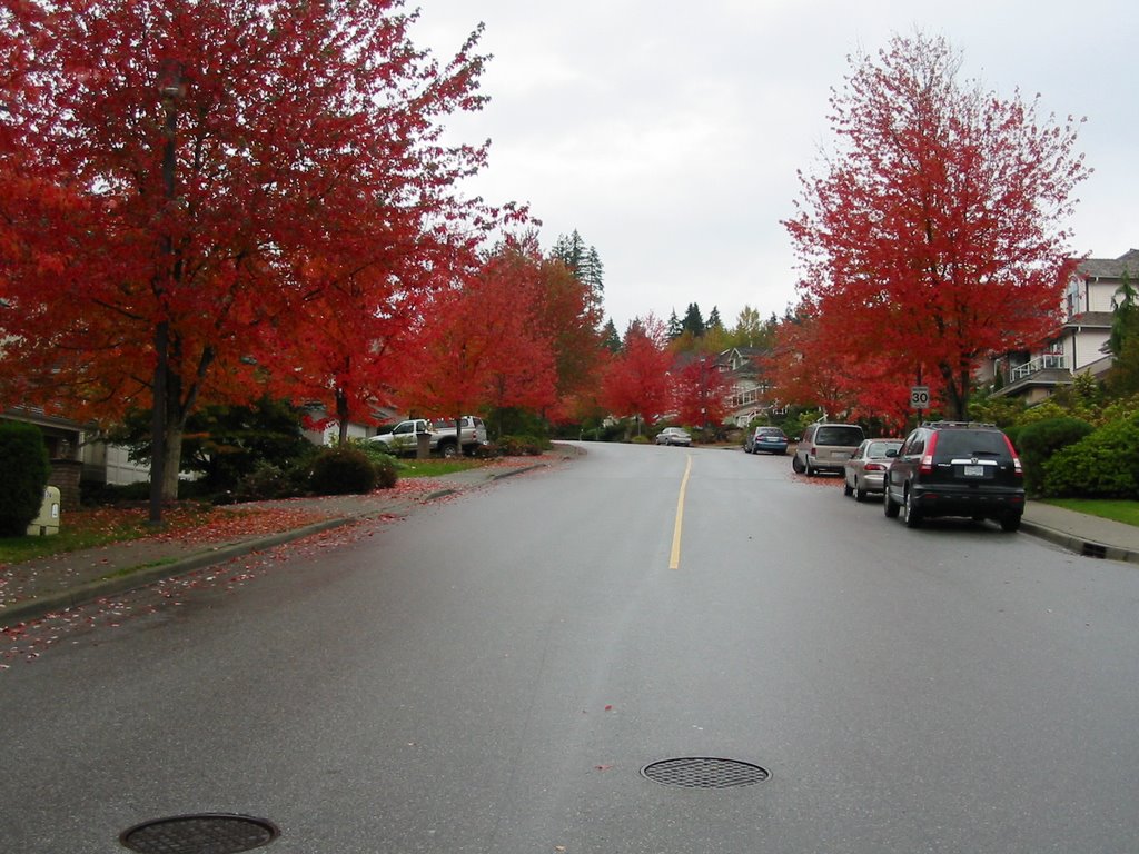 Fall in Parkside Dr.