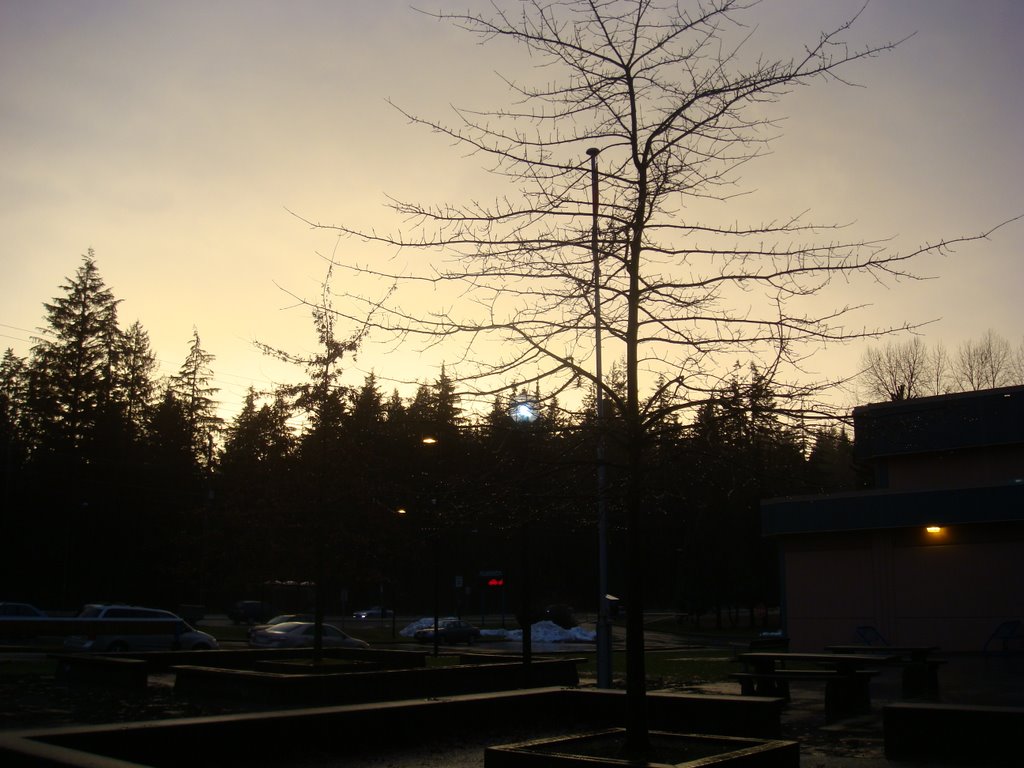 golden sky