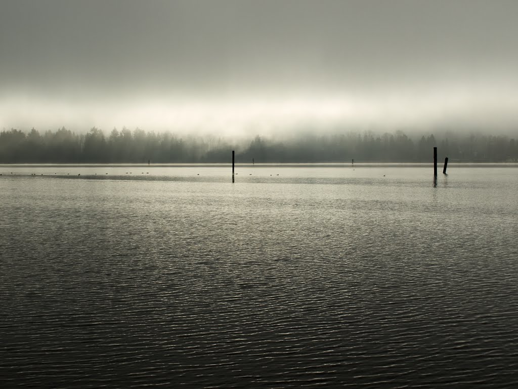 Moody Inlet from Old Orchard Park 1