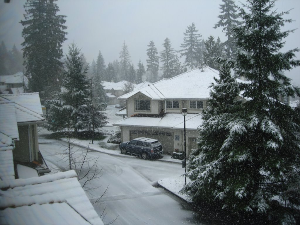 2007 First Snow