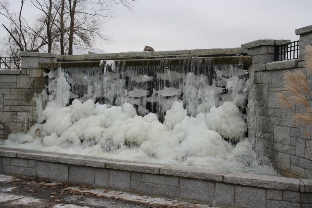 Its soooooo, cold  for these poor salmon!