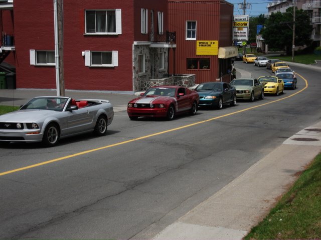 Guiness World Record, 625 Mustangs Victoriaville