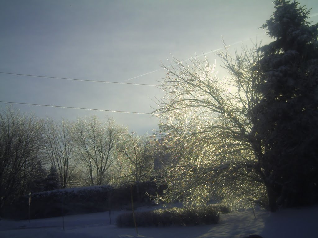 Arbol de Cristal