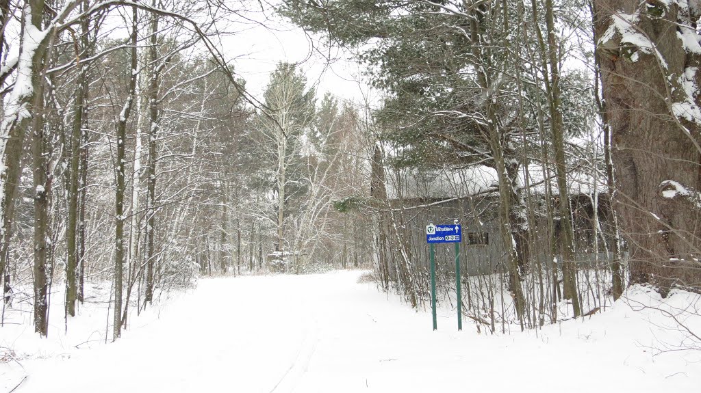 Piste de Ski de Fond (Au  Club Ski de Fond)