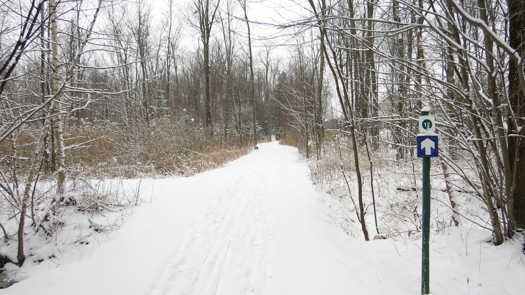 En sentier de ski de fond