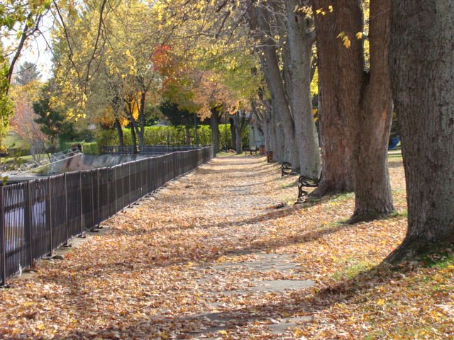 Parc St-Thérèse à lautomne
