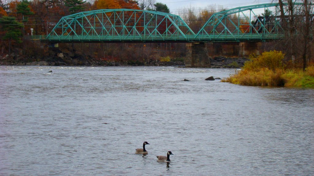 Vieux Pont Curé Marchand, rivière St-François