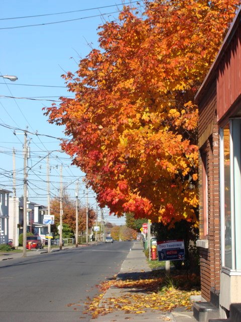 Rue Notre-Dame à Drummondville