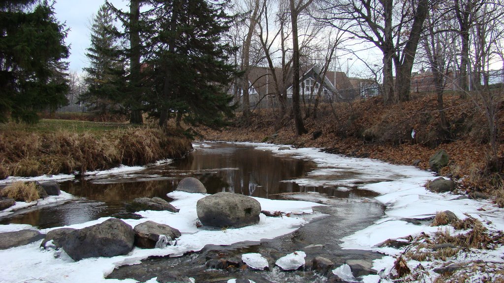 Ruisseau des îles au Parc Woodyatt