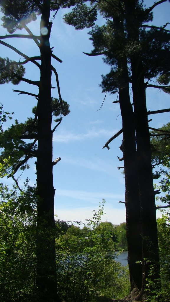 Grand Pin