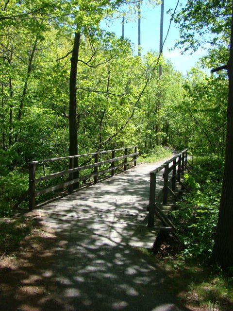 Petit pont de sentier (Small bridge of path )