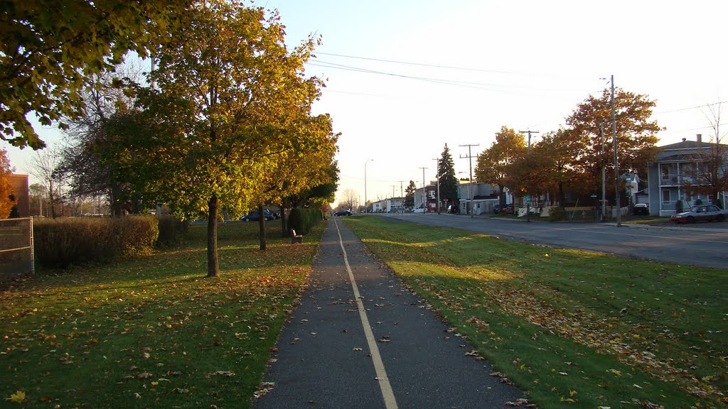 Piste cyclable