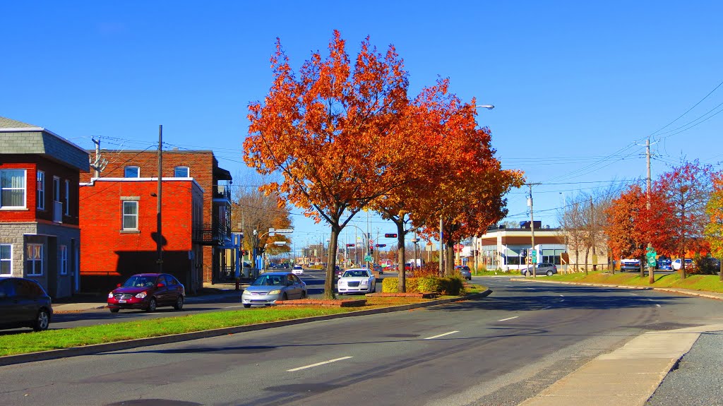 Boul, St-Joseph Automne 2013