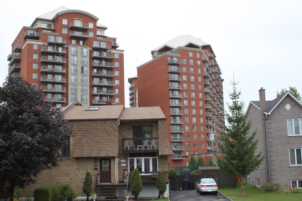 View from Alton Goldbloom