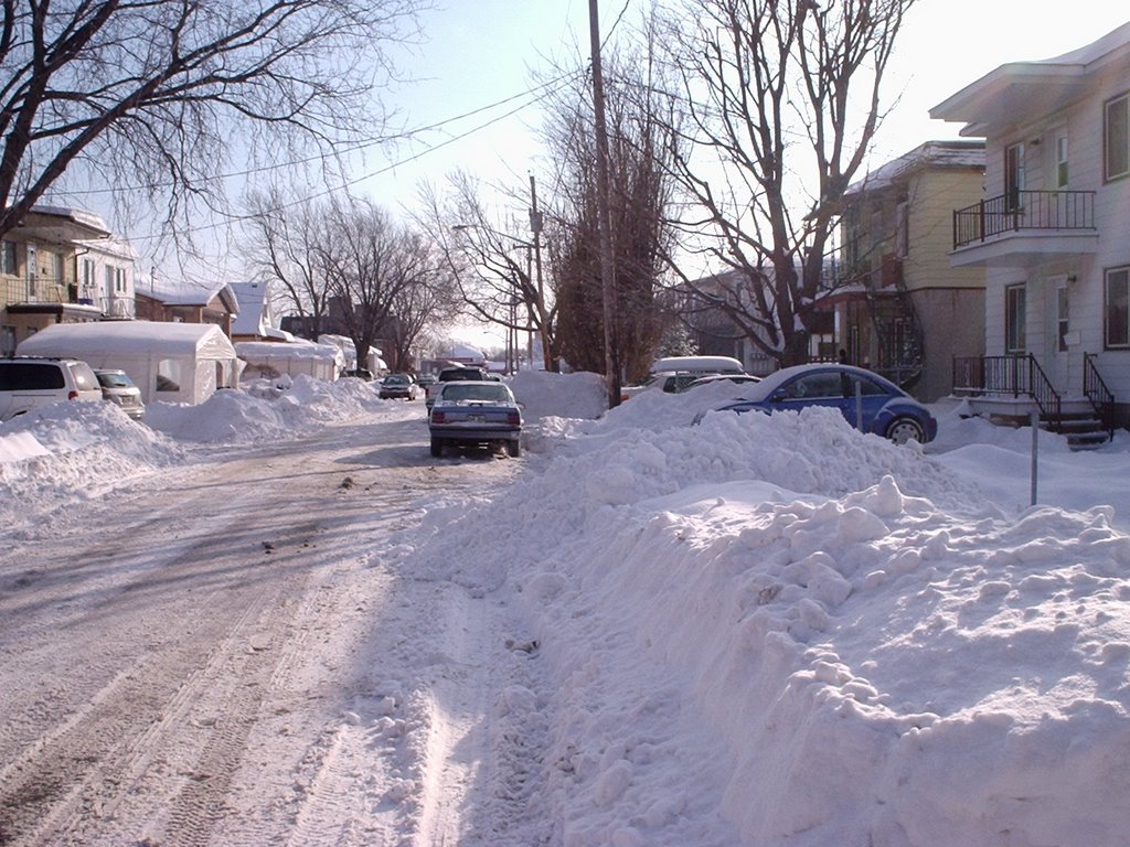 LavaL, 74 Avenue , Winter