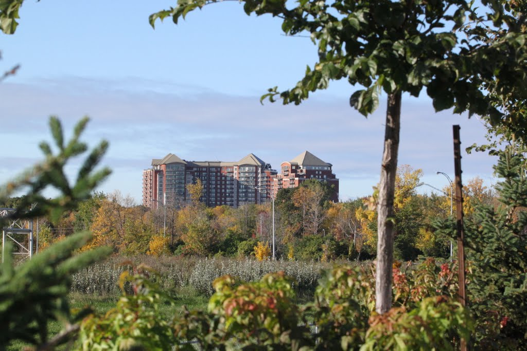 Laval