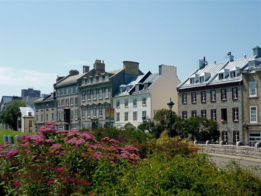 Avenue St-Denis (3)