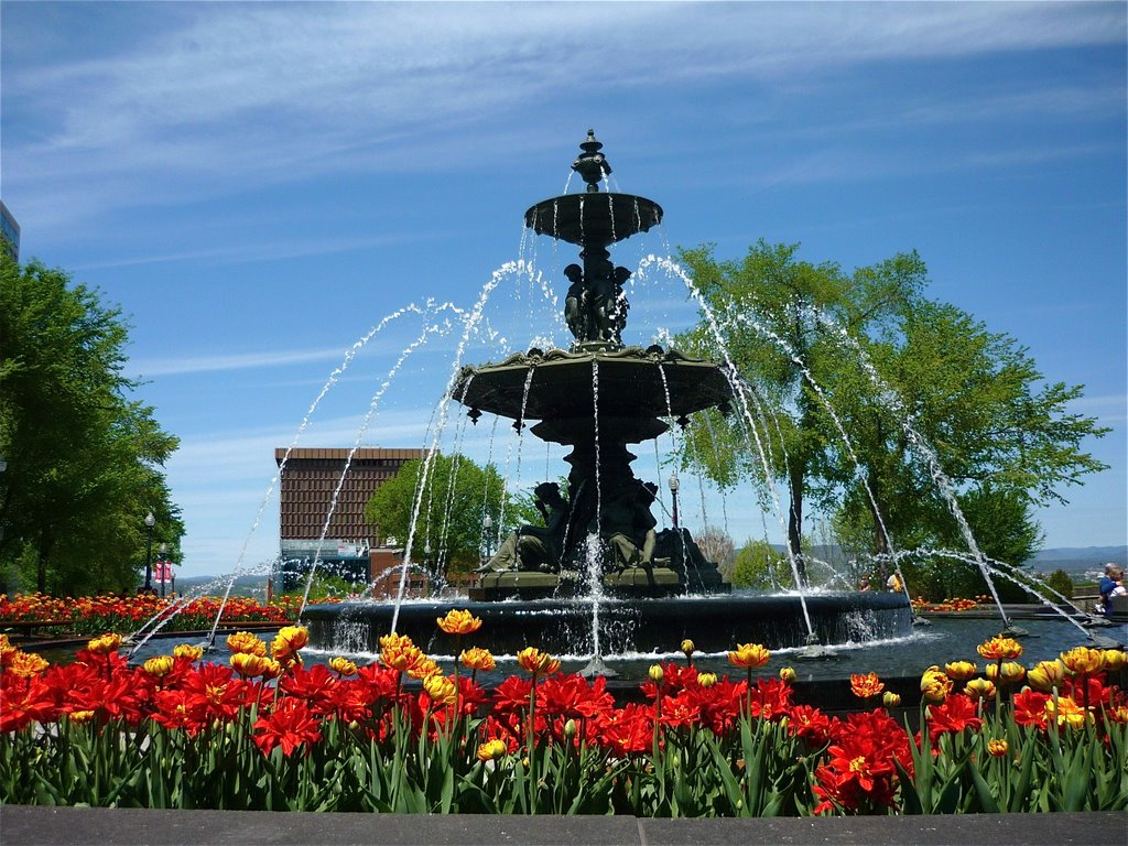 Fontaine de Tourny, printemps 2009