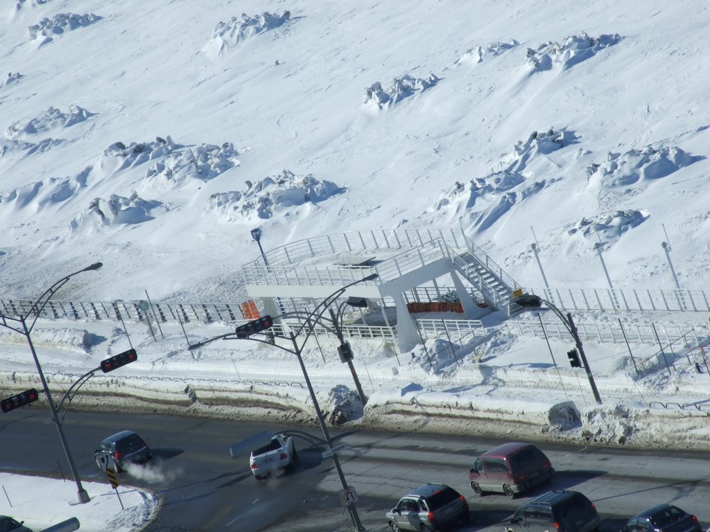Banquise à Rimouski