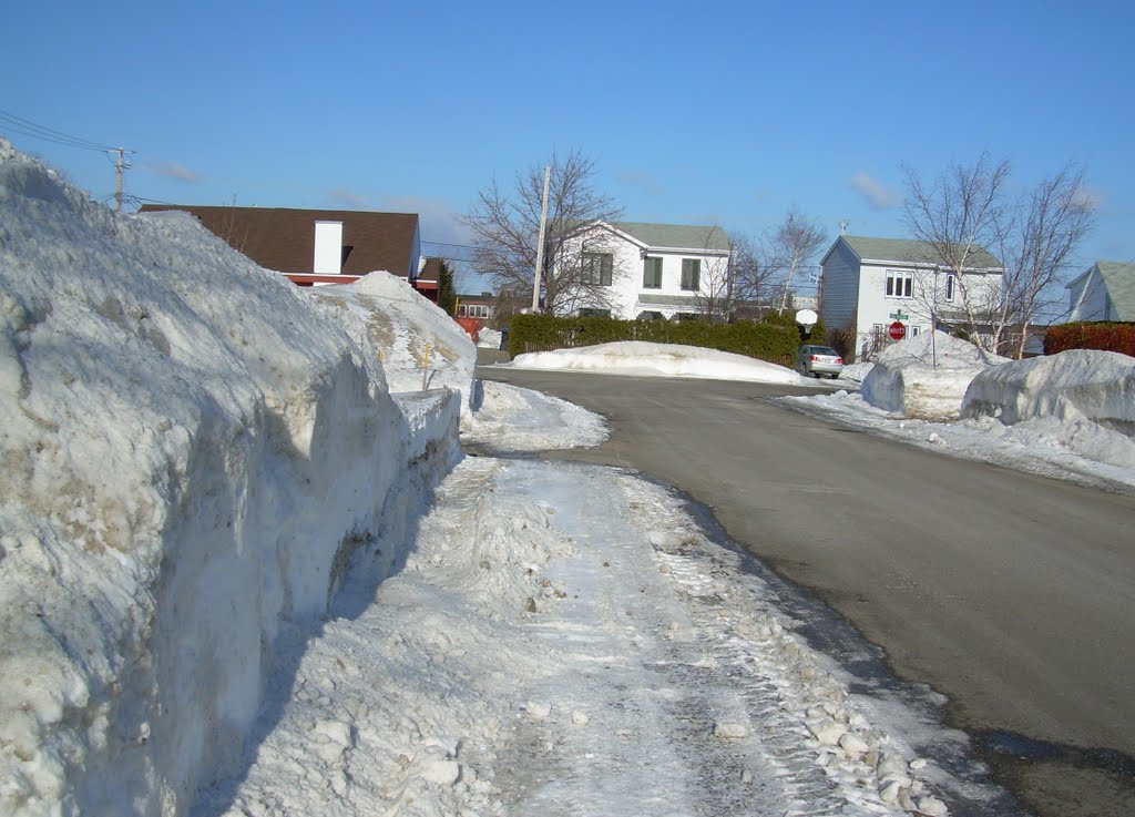 Maisons en hiver, Rimouski