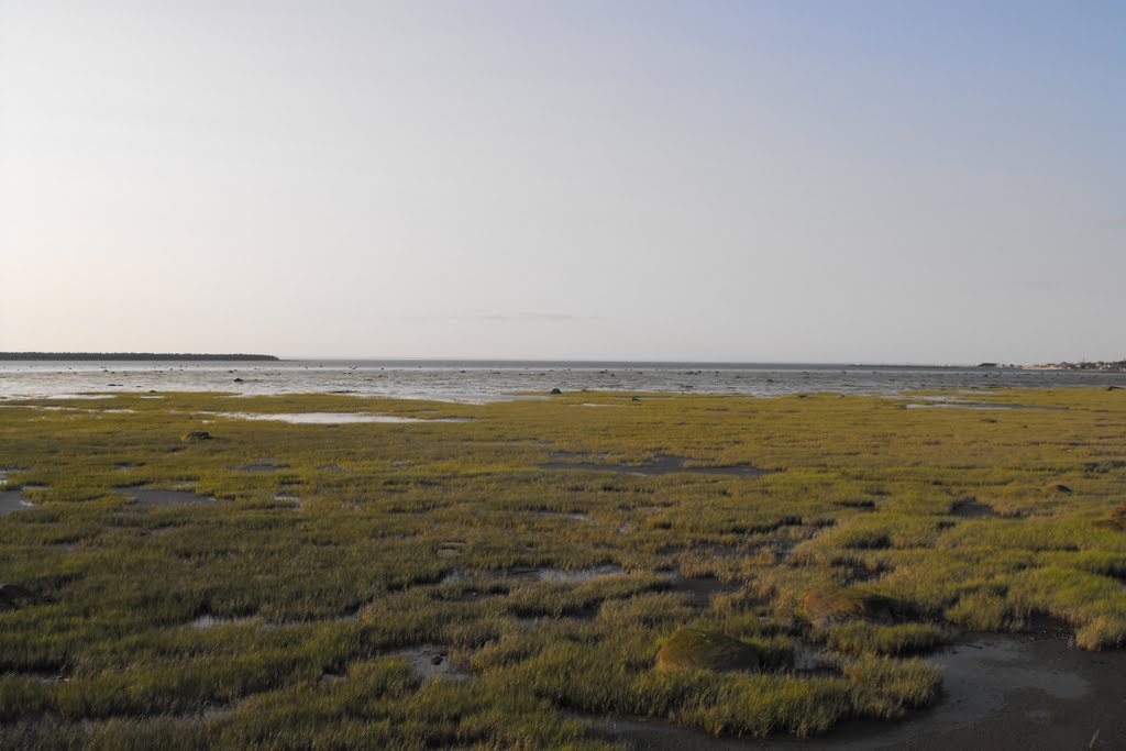 Tidal flat, Rimouski