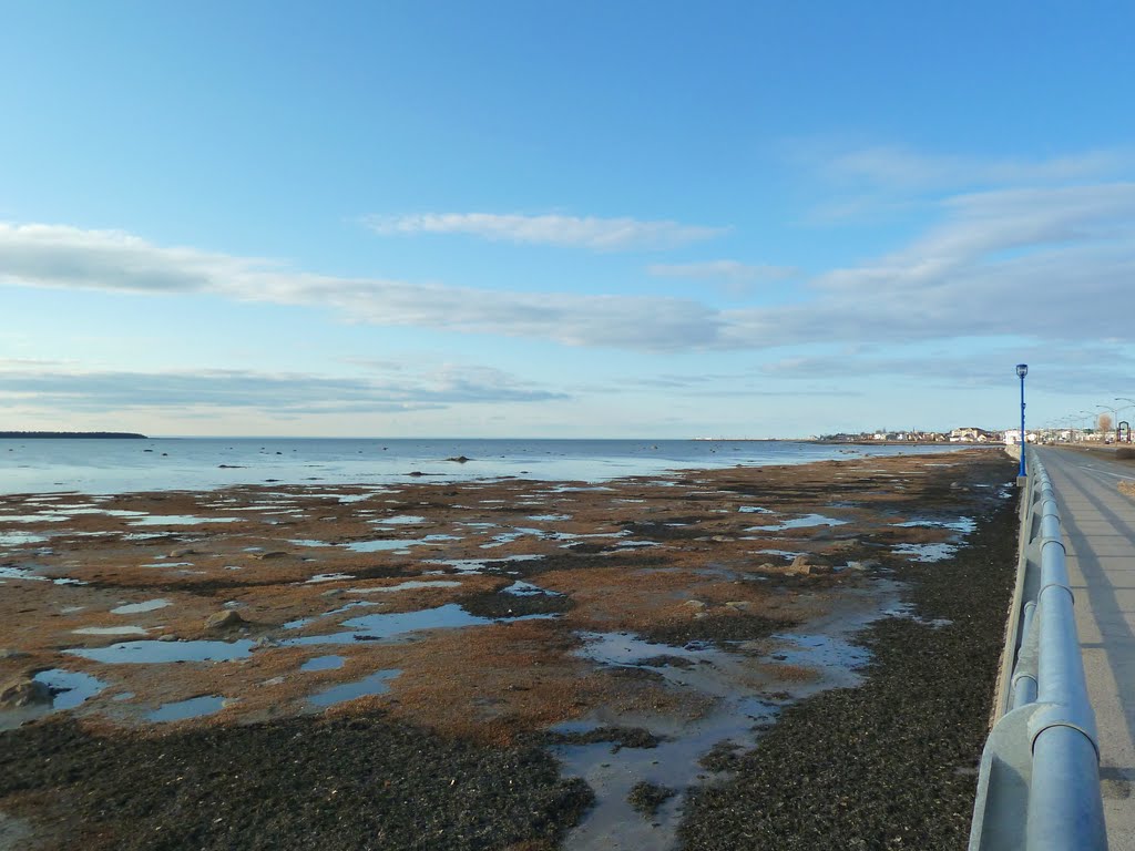 La baie de Rimouski, avril 2011