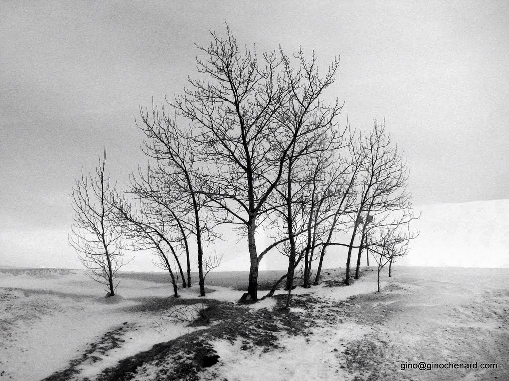 Rimouski