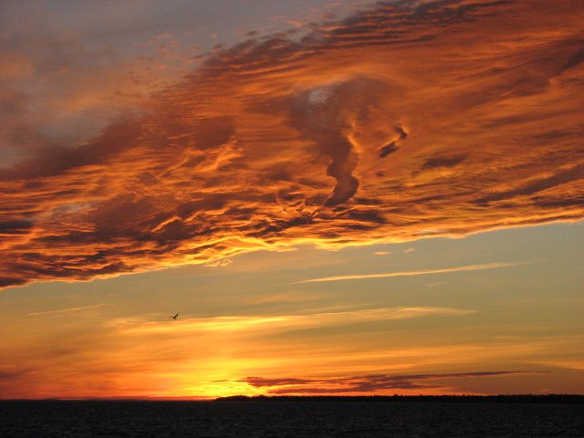 NUAGE ORANGE